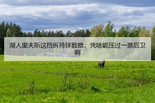 湖人里夫斯这挡拆持球数据，凭啥能压过一票后卫啊